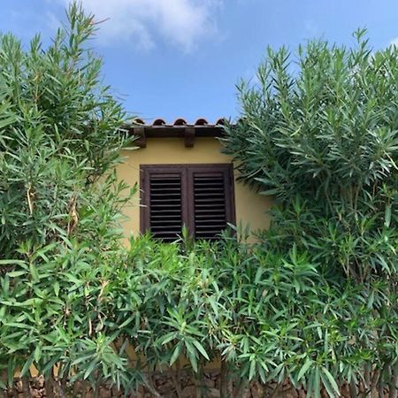 Villa Maveda, Un Dammuso Immerso Nel Verde ランペドゥーザ エクステリア 写真